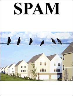 Spam - The Novel by Arnold Greenberg